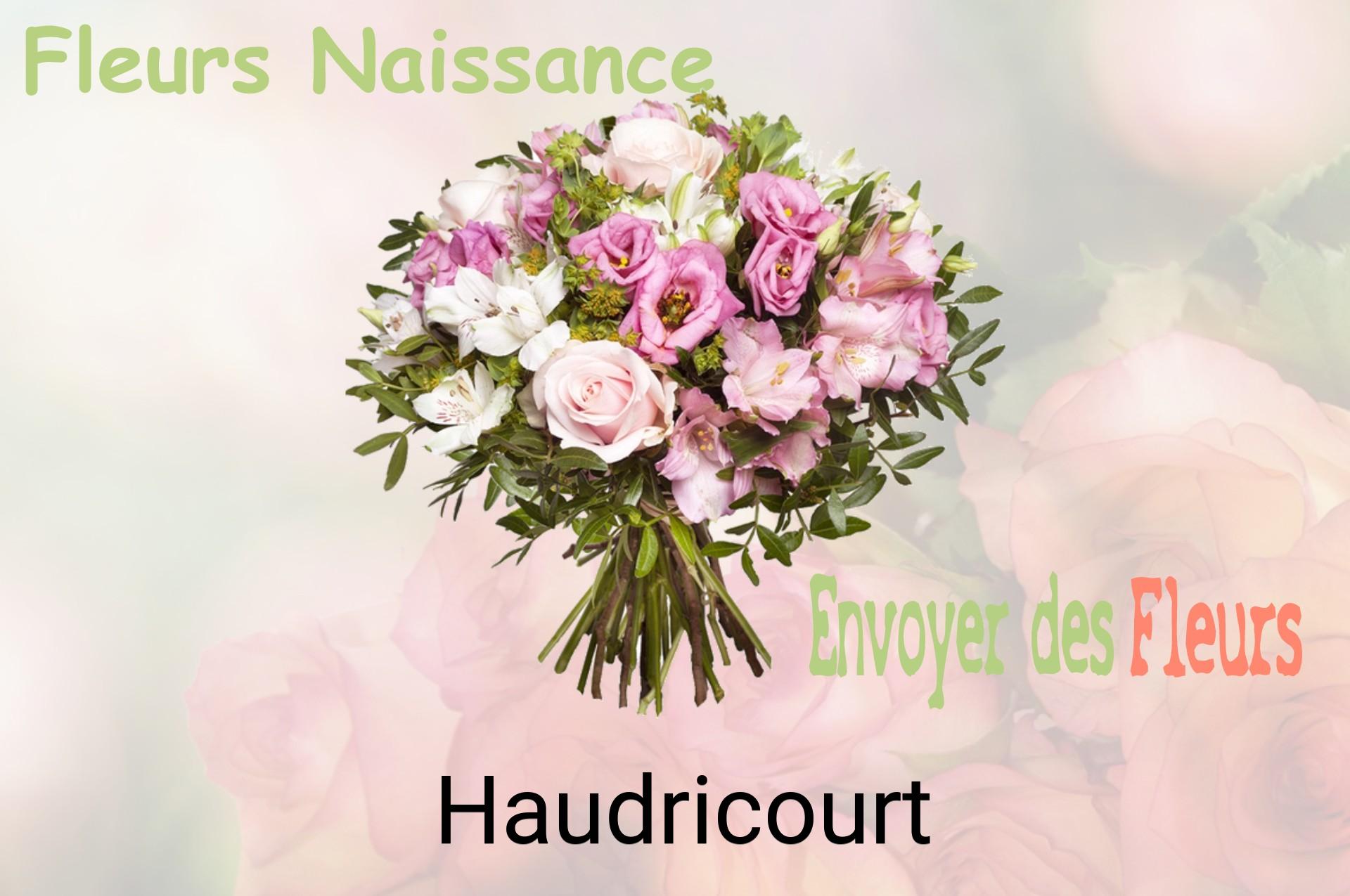 Bouquet de fleurs de naissance livré à Haudricourt